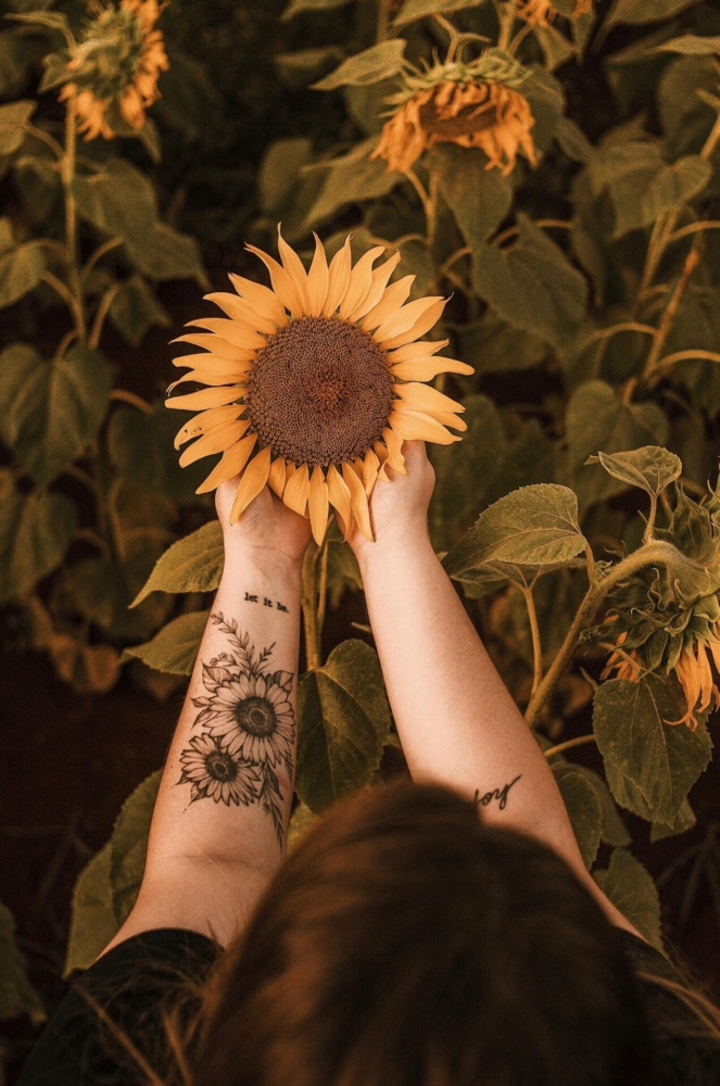 A woman with tattoos holding a sunflower in a blooming field, displaying nature's beauty.